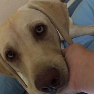 Meet your Posher, Gabby